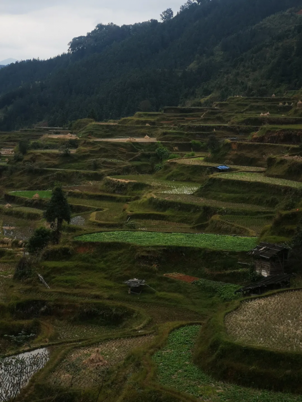 牛耕部落尋訪記