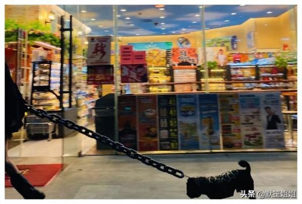 主人交代好友幫買條狗鏈，一再強調結實點，收到後竟發現形似鐵鏈