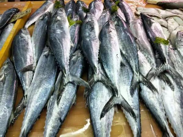 推薦如何挑選新鮮的海魚，學會這四點，奸商都怕你