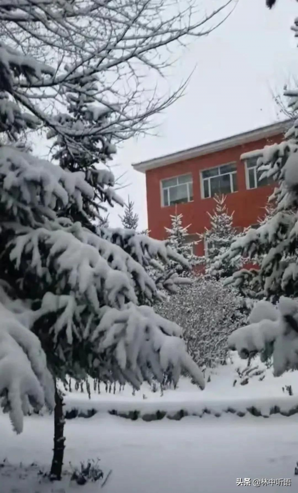 半日酸菜豬肉燉粉條!暴雪即將封山,山東女婿難捨的東北情結 半日酸菜豬肉燉粉條!暴雪即將封山,山東女婿難捨的東北情結