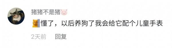 寵物店崩潰日常：太多“多多”了，你是哪家的多多