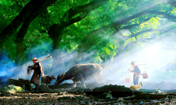 我們越來越愛回憶了,十二首憶舊的詩詞,懷念曾經的美好 我們越來越愛回憶了,十二首憶舊的詩詞,懷念曾經的美好