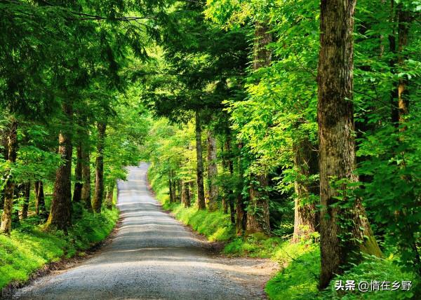 美麗的世界，畫一樣的風景