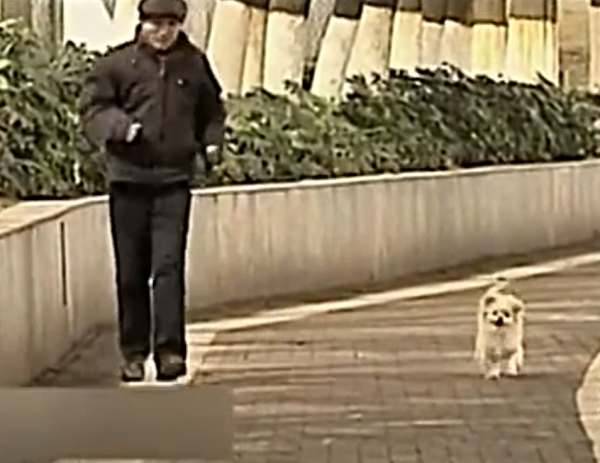 男子體檢B超照不到內臟，醫生仔細檢查發現不妙，馬上勸男子轉院