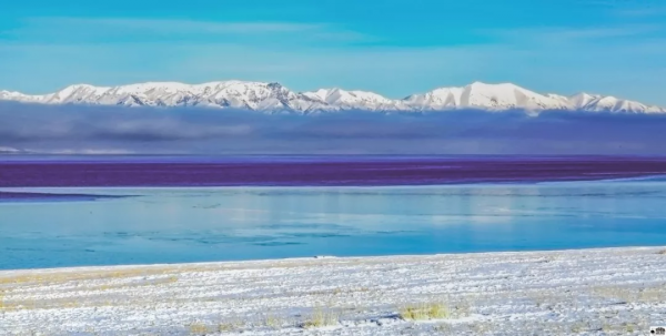 新疆剛下雪，小夥伴不淡定了：原來冬天的新疆是這樣的