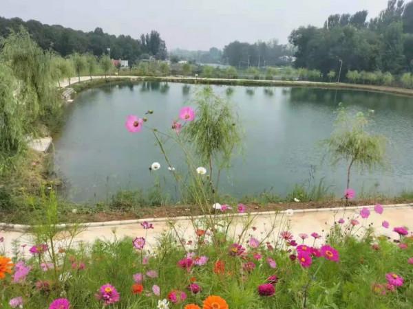 【美麗靈壽】七律•秋遊美麗鄉村北城東