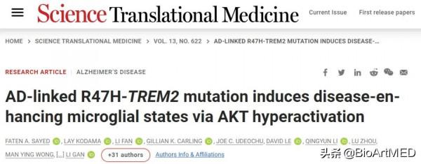 Sci Transl Med｜單核RNA測序揭示阿爾茲海默症TREM2 R47H變體新機制