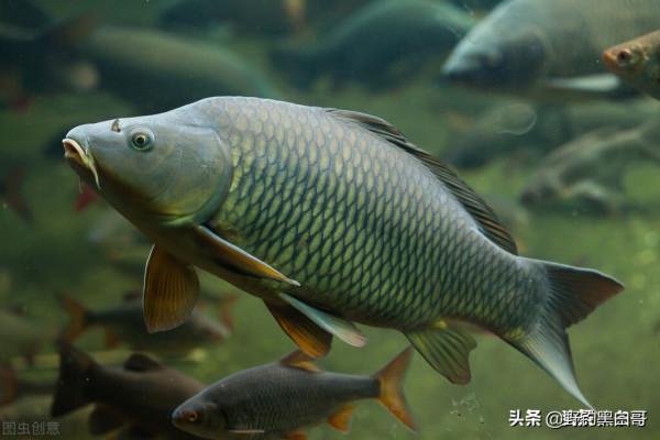 颱風又將來襲,準備風后釣大魚了嗎 颱風又將來襲,準備風后釣大魚了嗎