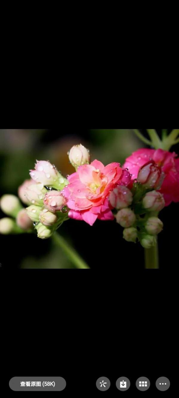 小氣和大方 不同的生活方式 不同的人生選擇 你更欣賞哪一個