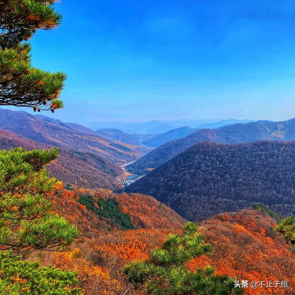 金秋旅遊旺季，東北這座小城開掛迎來中國最美早秋，讓人流連忘返