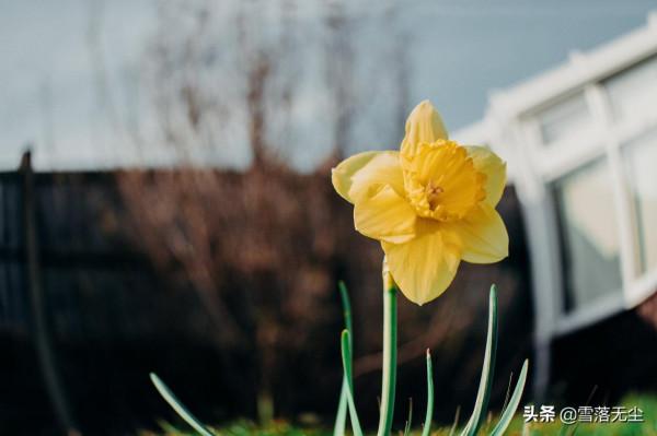 一個人,越“剋制”,日子越順 一個人,越“剋制”,日子越順