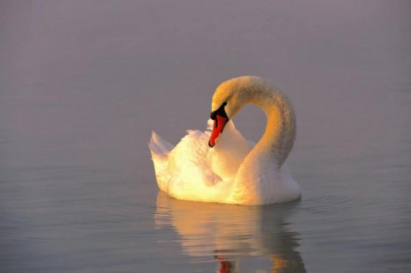 來新疆,別光顧著看雪啦!還有更好的美景在等你 來新疆,別光顧著看雪啦!還有更好的美景在等你