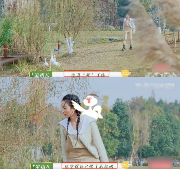 宋祖兒節目中被大鵝追擊！慌忙逃竄五官亂飛，大聲呼救沒人理