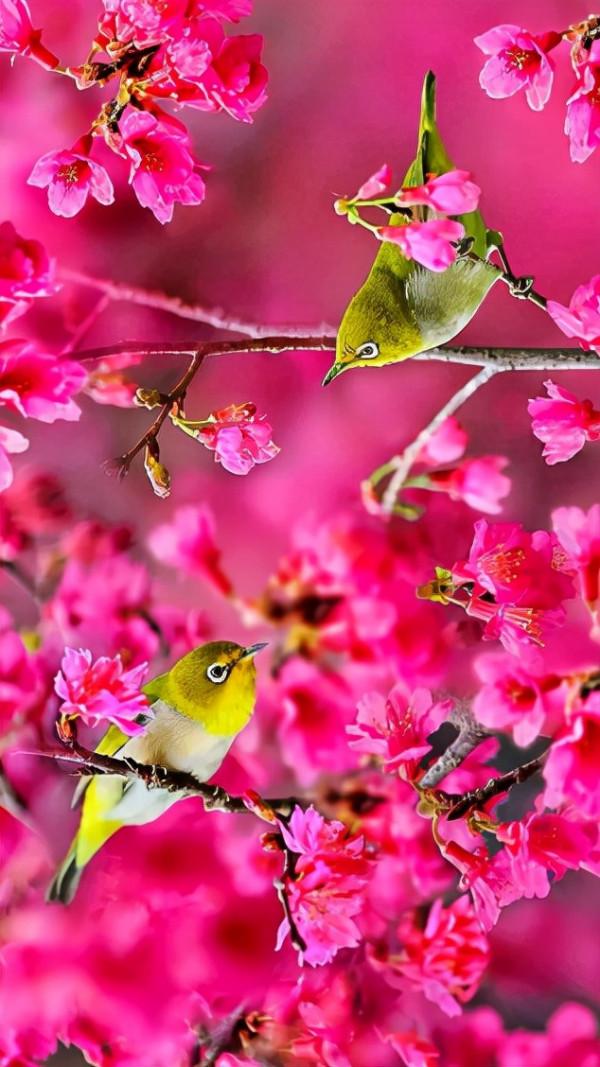 怎樣起個好名字 65 寄名法 怎樣起個好名字 65 寄名法