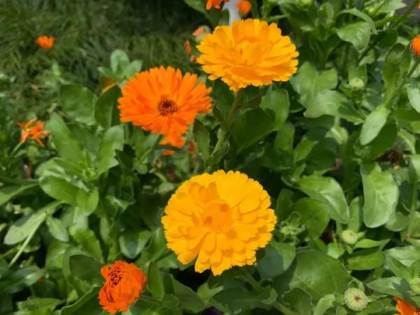 一年四季，這些“絕美”的瞬間你見到了嗎？