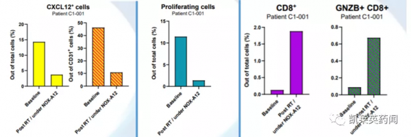 新藥巡禮：核酸“抗體”曙光已現，NOX-A12發力腫瘤治療
