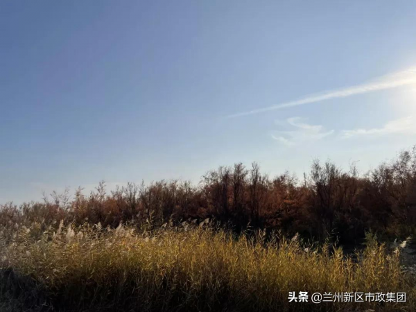 醉美秦王川，秋景如詩如畫