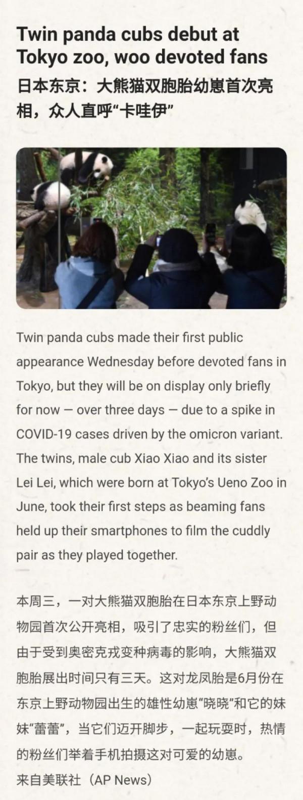 日本東京：大熊貓雙胞胎幼崽首次亮相，眾人直呼&OpenCurlyDoubleQuote;卡哇伊&rdquo;