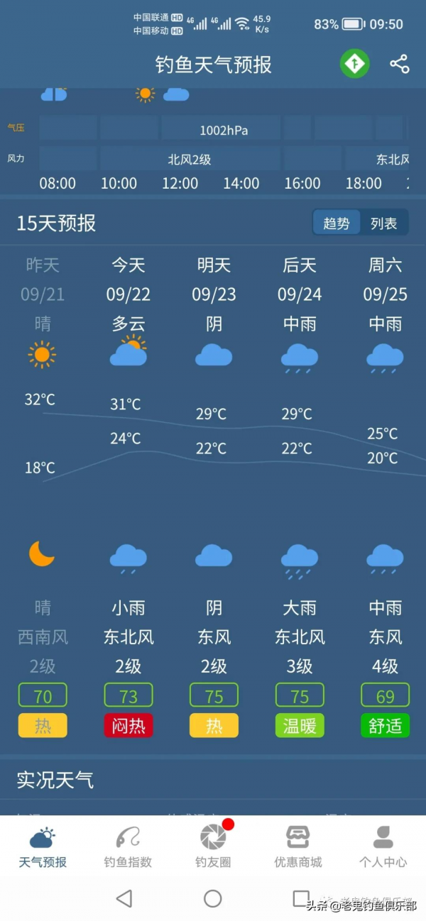 三角炮配螺鯉,釣黃河大鯉魚 三角炮配螺鯉,釣黃河大鯉魚