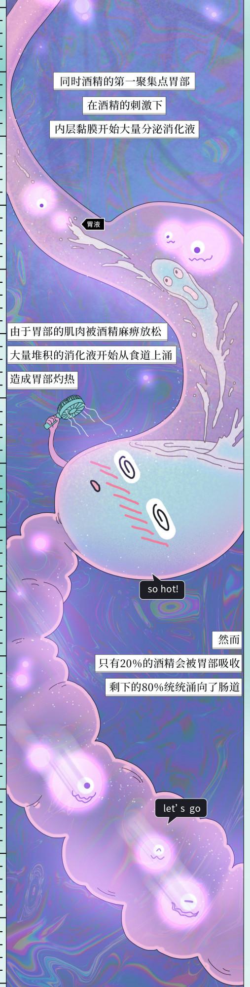 喝酒後24小時人體變化圖鑑