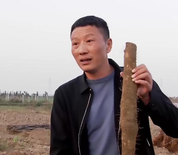 襄陽“山藥大王”鄒濤:靠山藥一年賣出4億元,帶2500戶鄉親致富 襄陽“山藥大王”鄒濤:靠山藥一年賣出4億元,帶2500戶鄉親致富