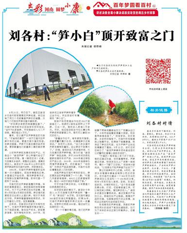 小蘆筍助推富民興村“節節高” 小蘆筍助推富民興村“節節高”