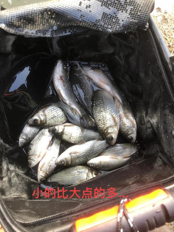 2020年1月3日第一回野釣