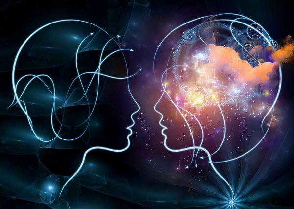 蝙蝠攜帶傳染病毒，為啥不能讓它滅絕，科學家：後果可能與之相反