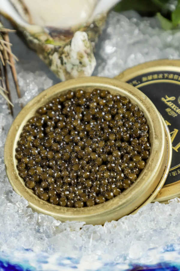 裡水有家食材劍指Omakase的日料店!人均60+嘆極致日料 裡水有家食材劍指Omakase的日料店!人均60+嘆極致日料