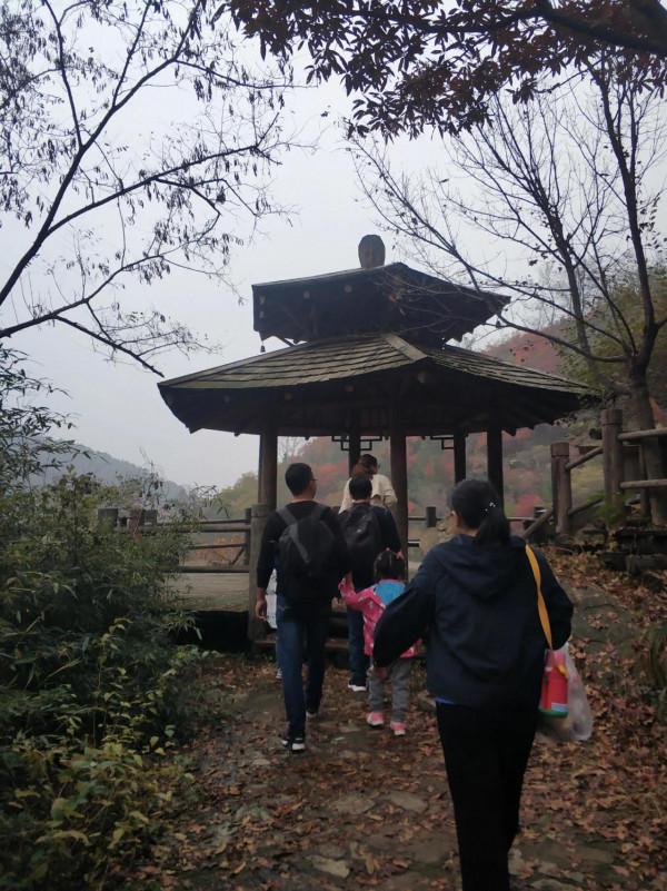 秋意濃濃九如山 秋意濃濃九如山