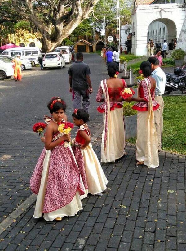 斯里蘭卡--回味無窮的青橄欖