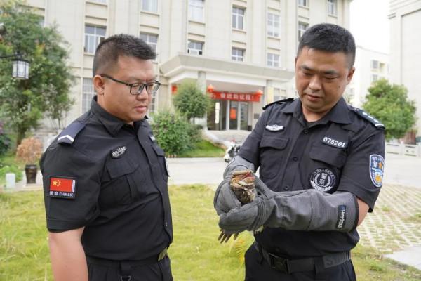 警察蜀黍，我撿到了一隻國家重點三有保護動物！