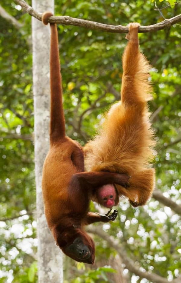 最好的教育是允許孩子做自己 最好的教育是允許孩子做自己