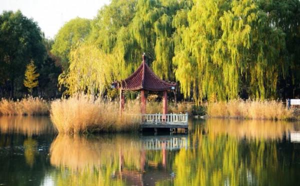 心理學:情商低的人,拎不清這3樣“東西” 心理學:情商低的人,拎不清這3樣“東西”