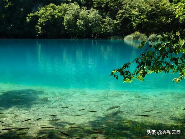 為什麼這種筆記本無限升級，永不過時？