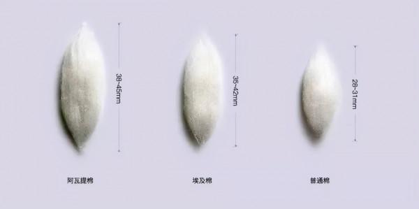 小米這些“走心”生態鏈產品,看似“平平無奇”,用後卻不得不服 小米這些“走心”生態鏈產品,看似“平平無奇”,用後卻不得不服