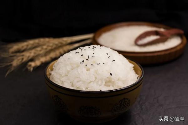 主食吃不好，脾胃壞得早！多吃這4種穀物，能健脾疏肝、潤腸利溼