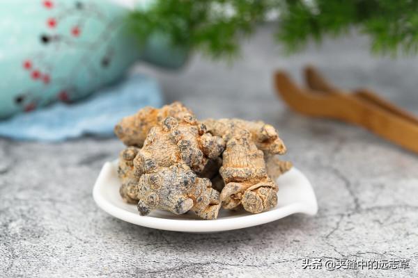 脂肪肝？送你十一味中藥，解肝鬱，健脾胃，平補陰陽