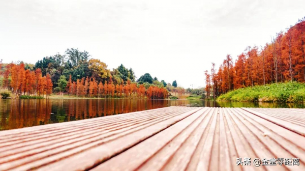 金堂“光霧山”!私藏在這處公園裡的冬日幻境 金堂“光霧山”!私藏在這處公園裡的冬日幻境