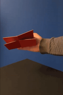 2021年最強視覺欺騙！只有王者級的眼睛才能識破騙局