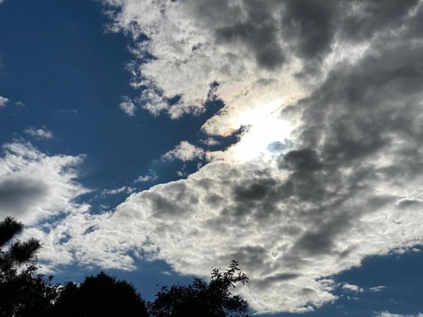 意不意外? 華為P50 Pro首測2: 網友要求再拍10組對比, 逼出它影像極限