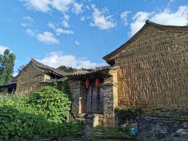 《易武》專欄 | 茶馬古道上的歲月陳香