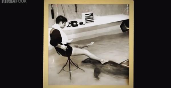 美國NASA60年前進行奇怪研究,導致海豚對人類女性愛得不可自拔 美國NASA60年前進行奇怪研究,導致海豚對人類女性愛得不可自拔