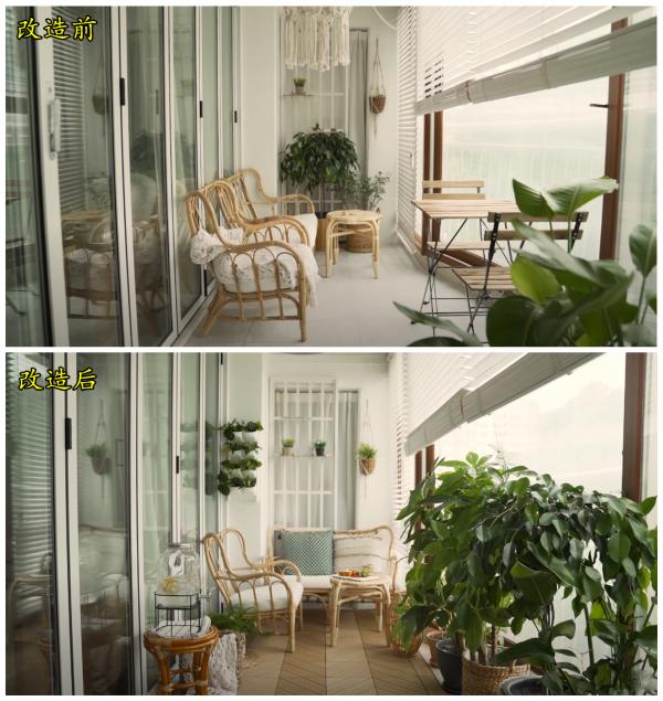 一人一狗，獨居生活有條有序，要是沒結婚，我也想過這樣的生活