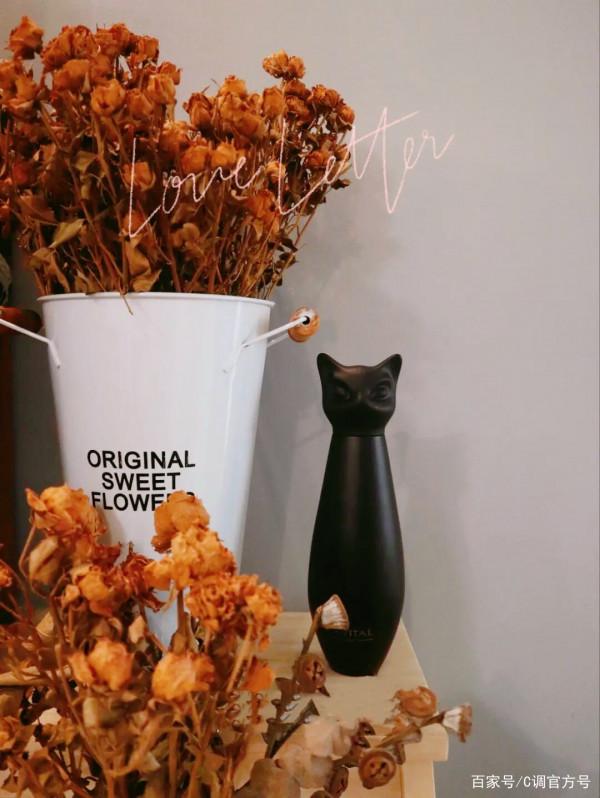 C調 保溫杯 | 冬季裡那隻溫暖的“小貓咪”