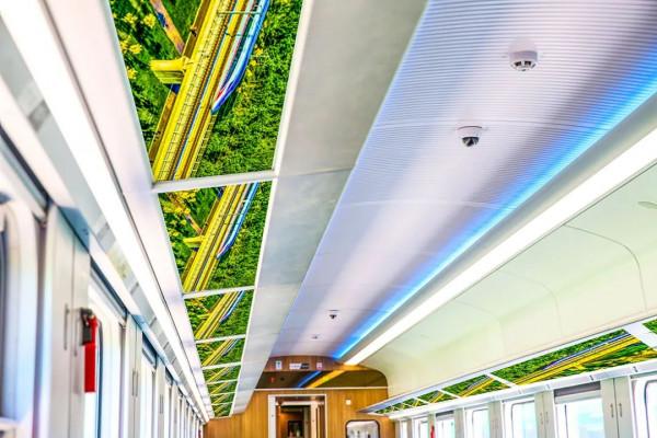 位置有限,速來!(附資源) 位置有限,速來!(附資源)