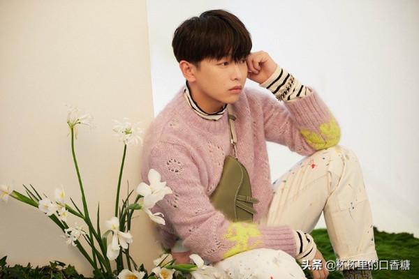 不靠顏值憑實力男星！張若昀、郭麒麟沒顏值照火，張新成只拼演技