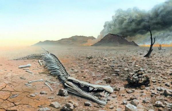 進化論的終極BUG:烏龜為何會成為科學家們的噩夢? 進化論的終極BUG:烏龜為何會成為科學家們的噩夢?