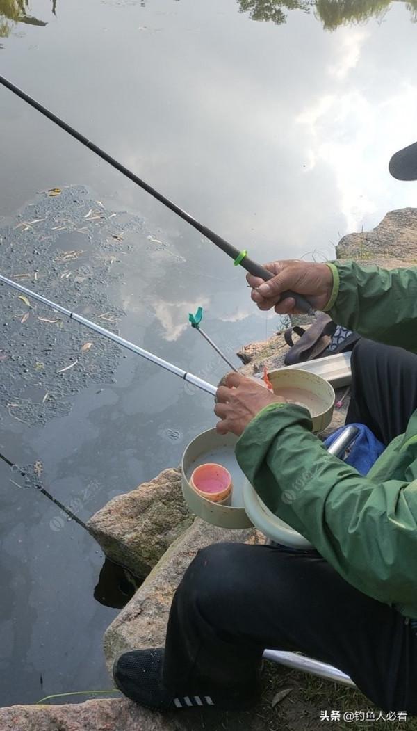 向高齡釣友請教的“搖三搖”釣法，毫無保留的分享給大家