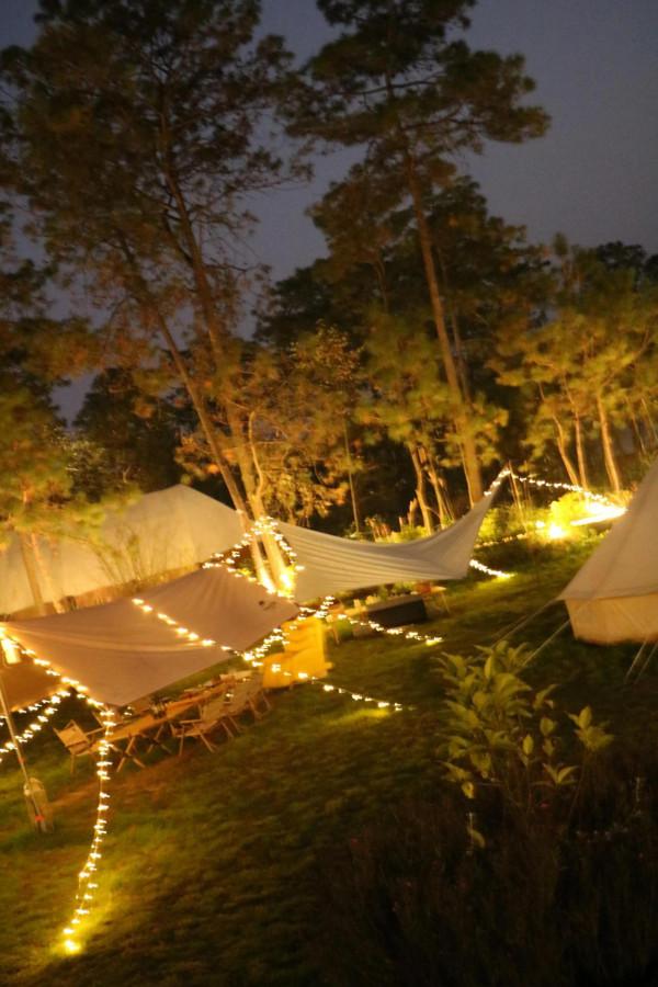 想離開地球穿過宇宙到月球買冰淇淋